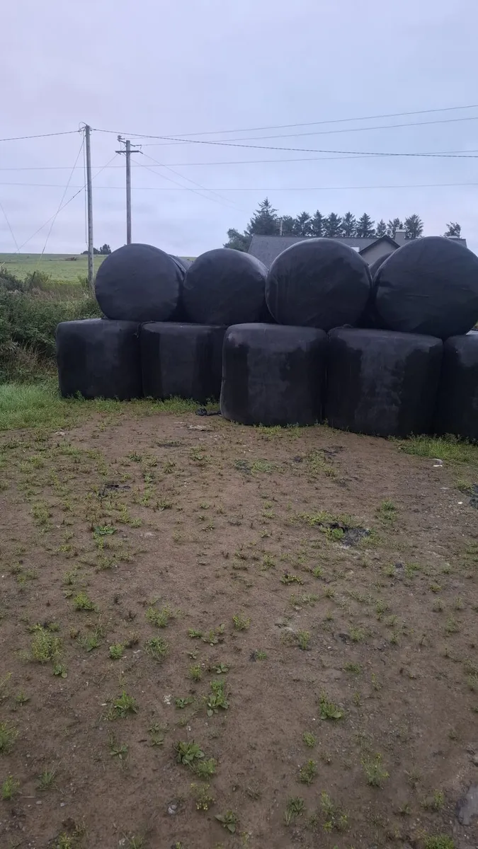 Silage bales - Image 2