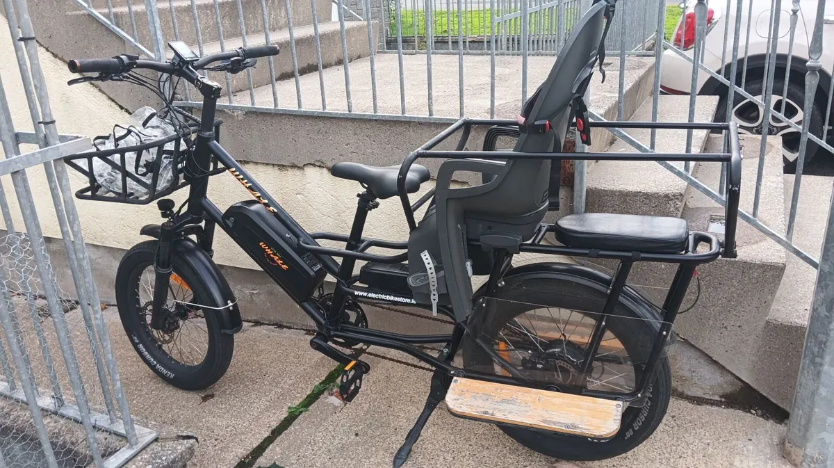 Electric bike - Image 1