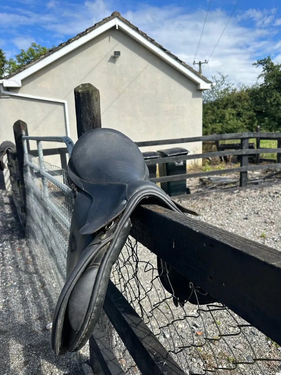 Berney Bros Saddle - Image 2