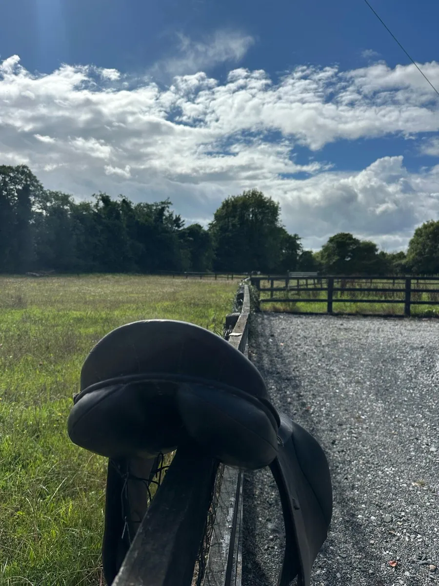 Berney Bros Saddle - Image 3