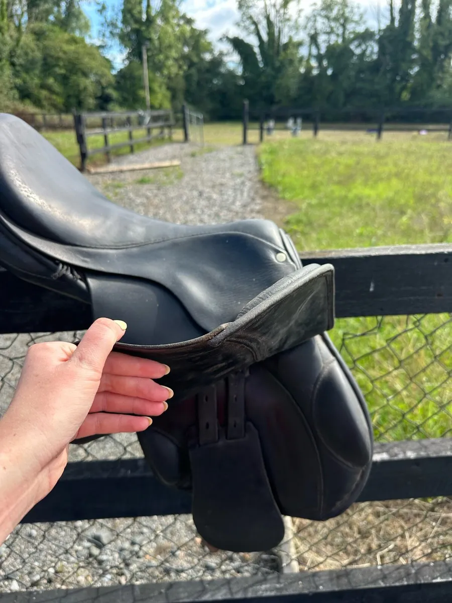 Berney Bros Saddle - Image 4