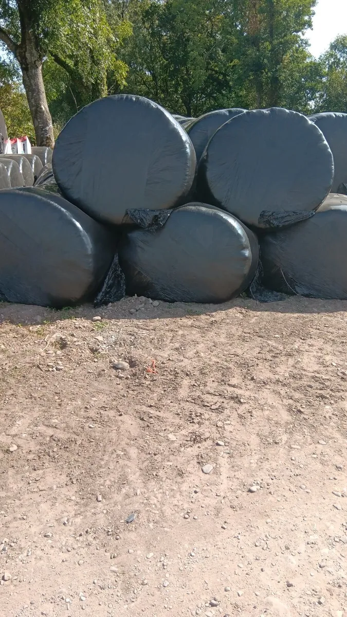 Silage bales - Image 2