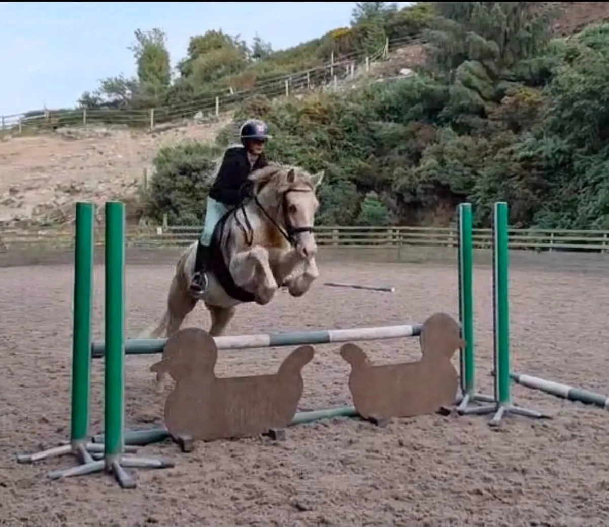 **One in A Million Allrounder** - Image 3