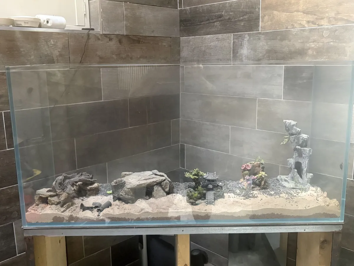 CUSTOM FISH AQUARIUM - Image 2