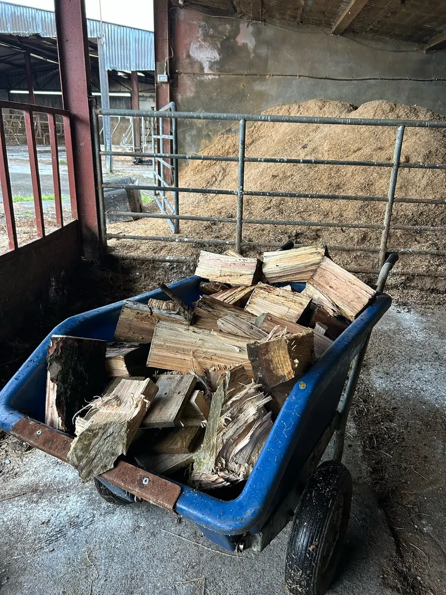 Firewood - Image 1