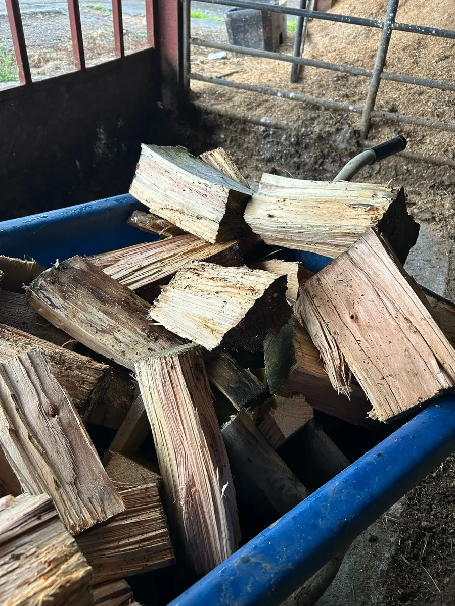 Firewood - Image 2