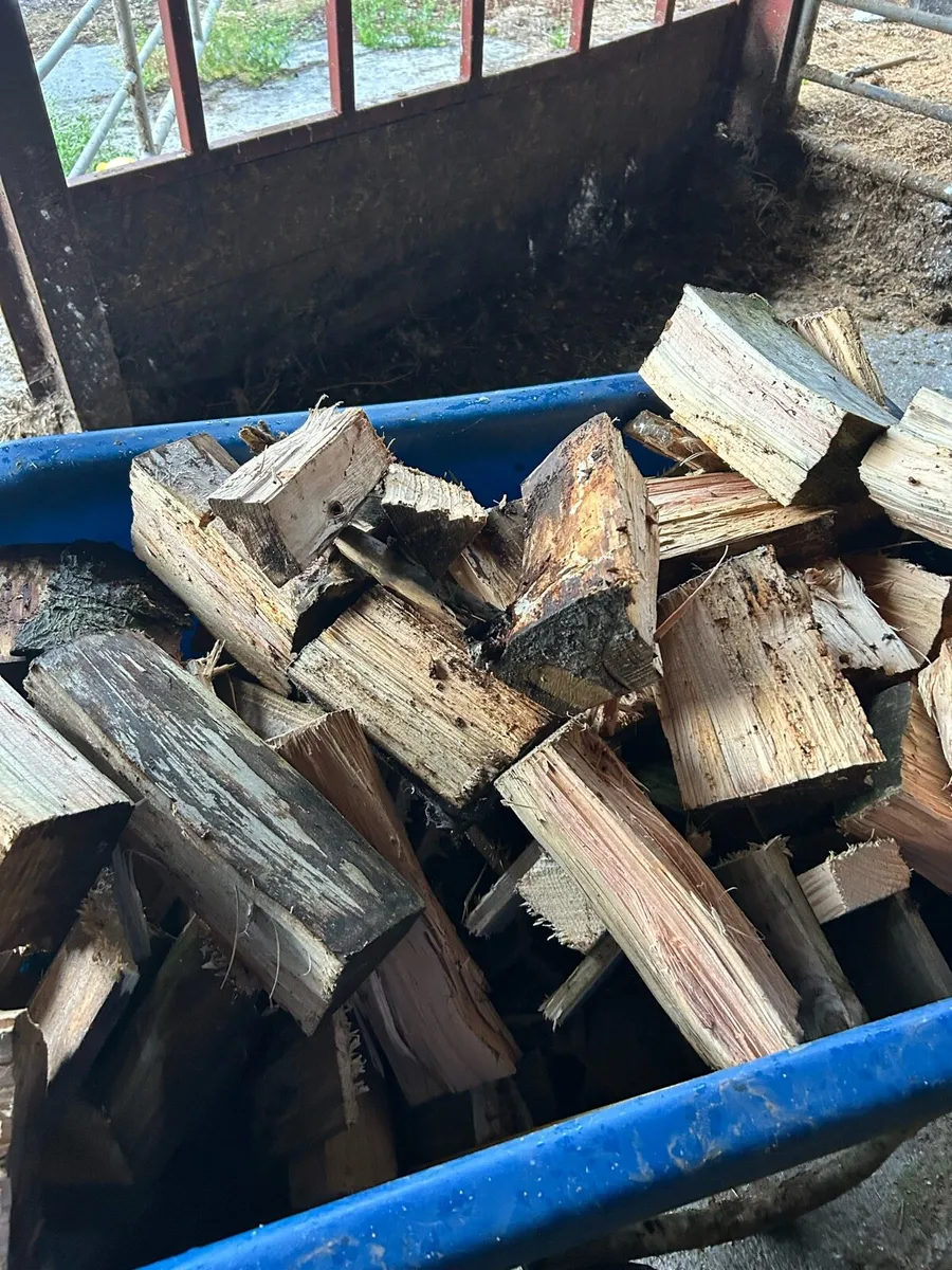 Firewood - Image 3