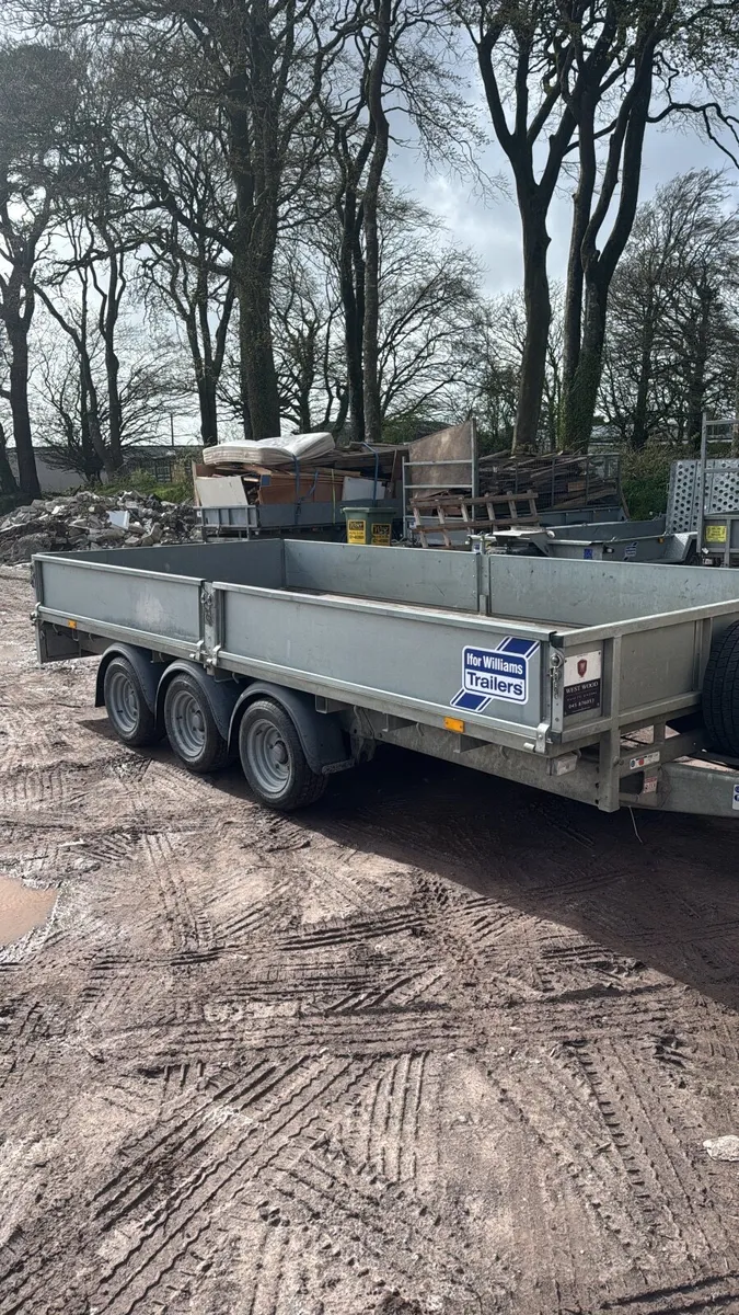 Ifor Williams sides - Image 1