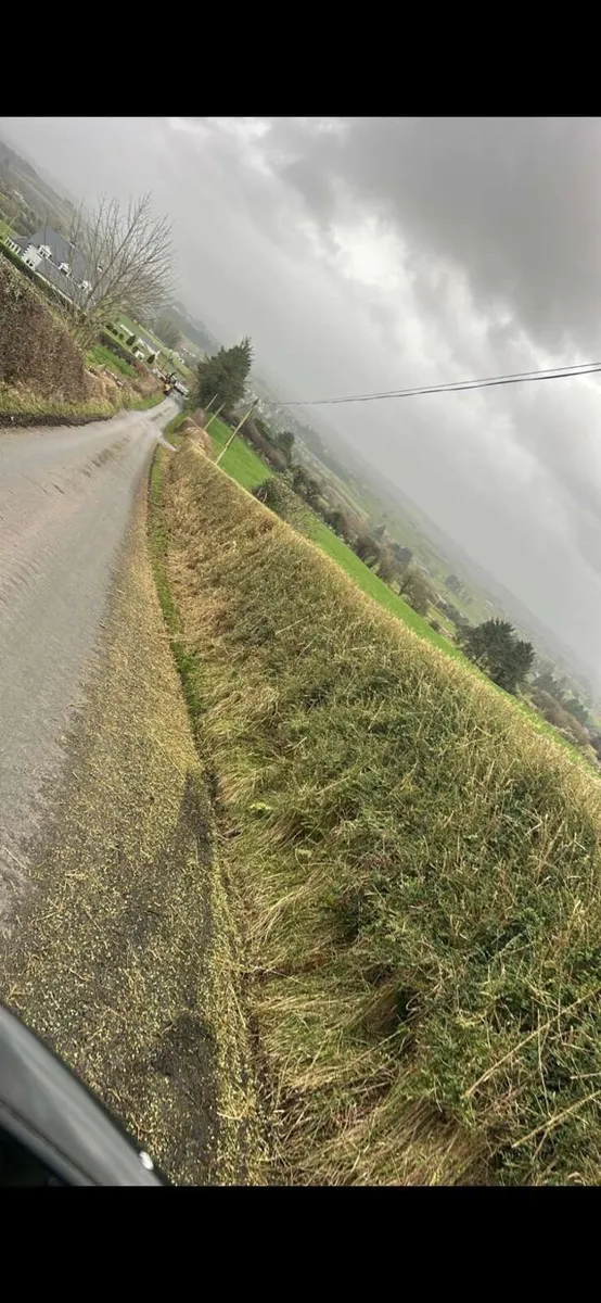 Hedgecutting - Image 2
