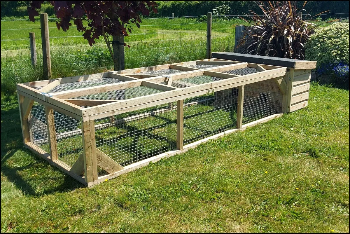 Rabbit Enclosure - Image 3