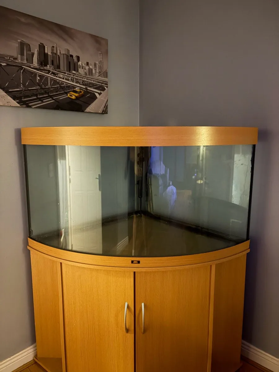 350L Jewel Tank/JBL CristalProfi e1502/Fluval LED - Image 2
