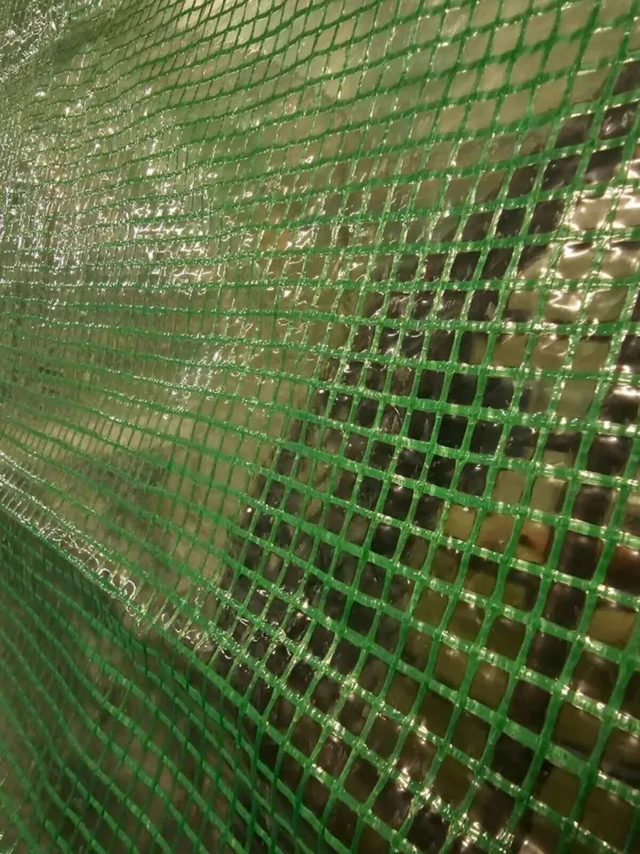 Green house brand new - Image 3