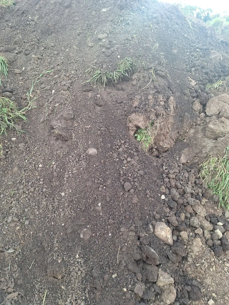 ⭐️Top Soil ⭐️ - Image 3