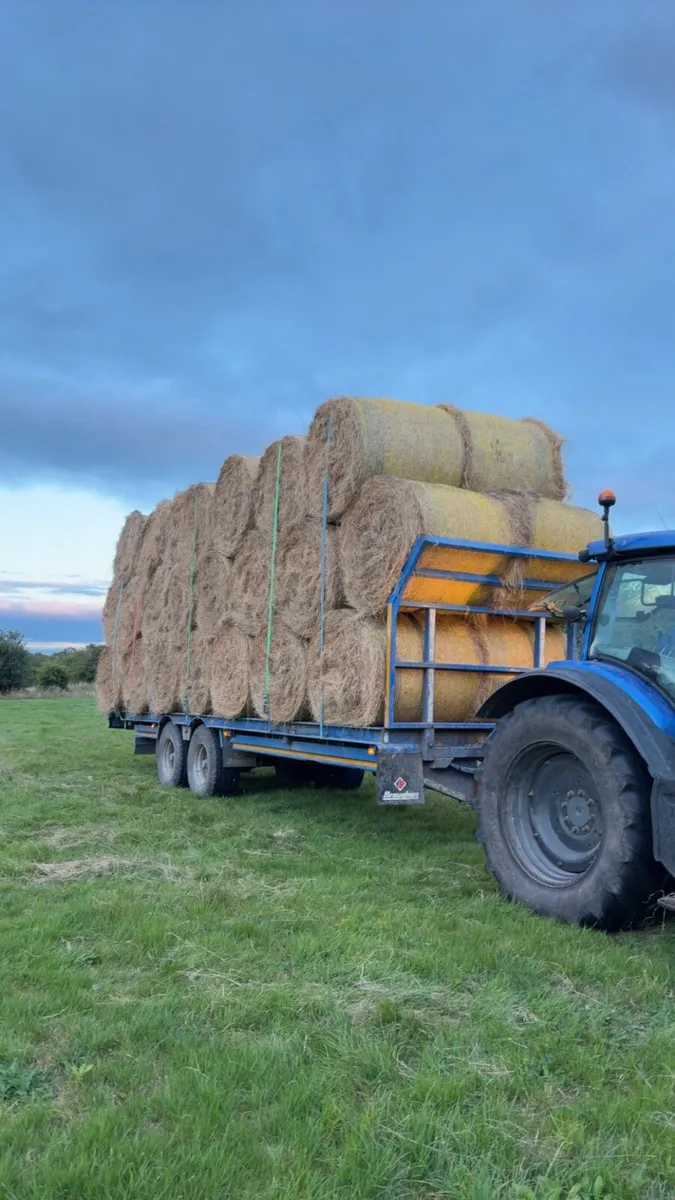 June Green Hay - Image 1