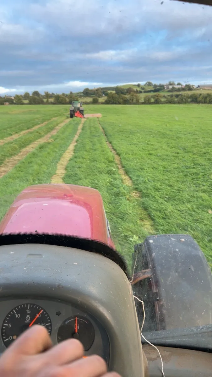 June Green Hay - Image 2