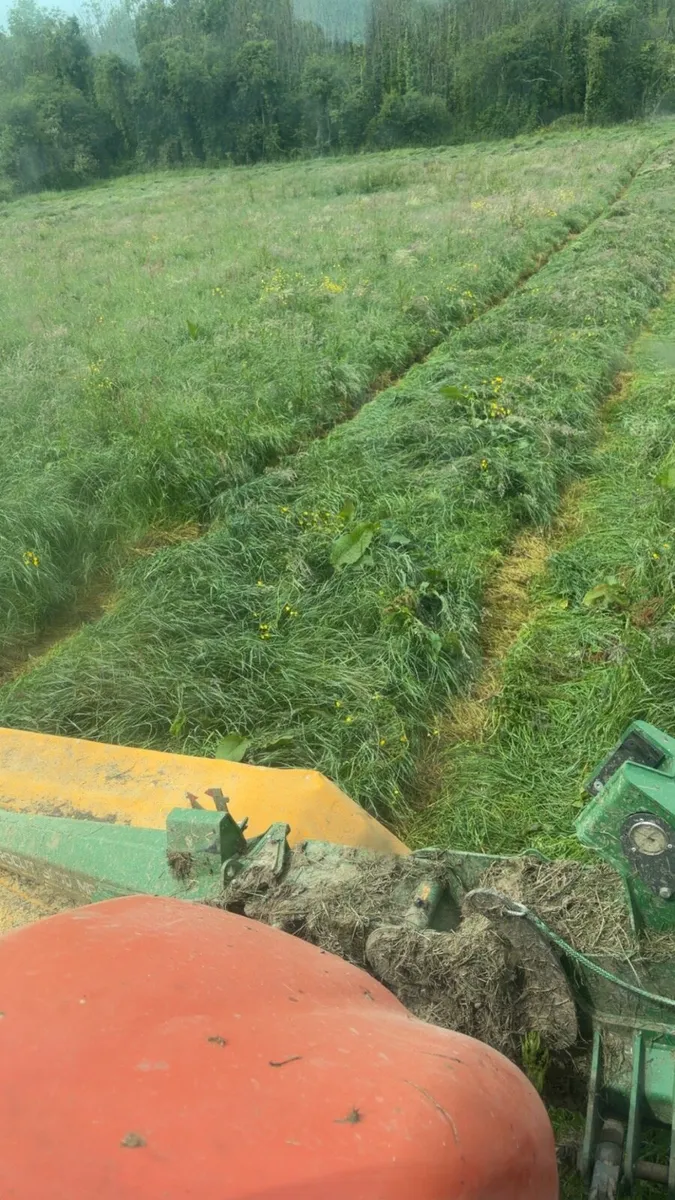 June Green Hay - Image 4