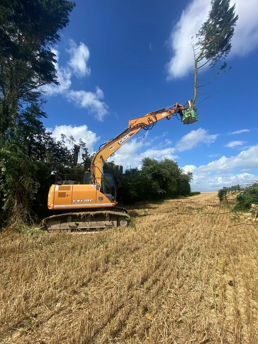 Tree removal - Image 1