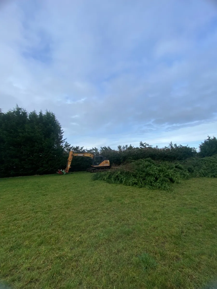 Tree removal - Image 3