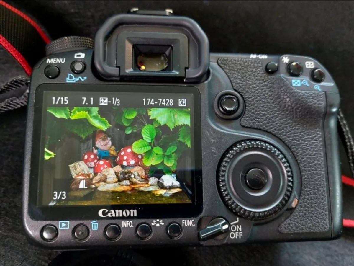 Canon EOS 5OD with a Sigma DC 18-20O lens - Image 3