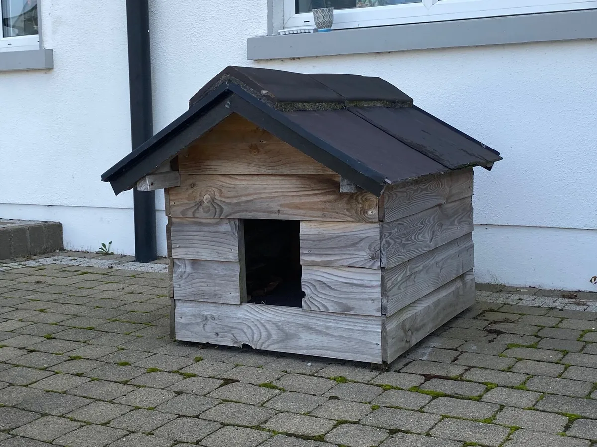 Dog House - Image 1
