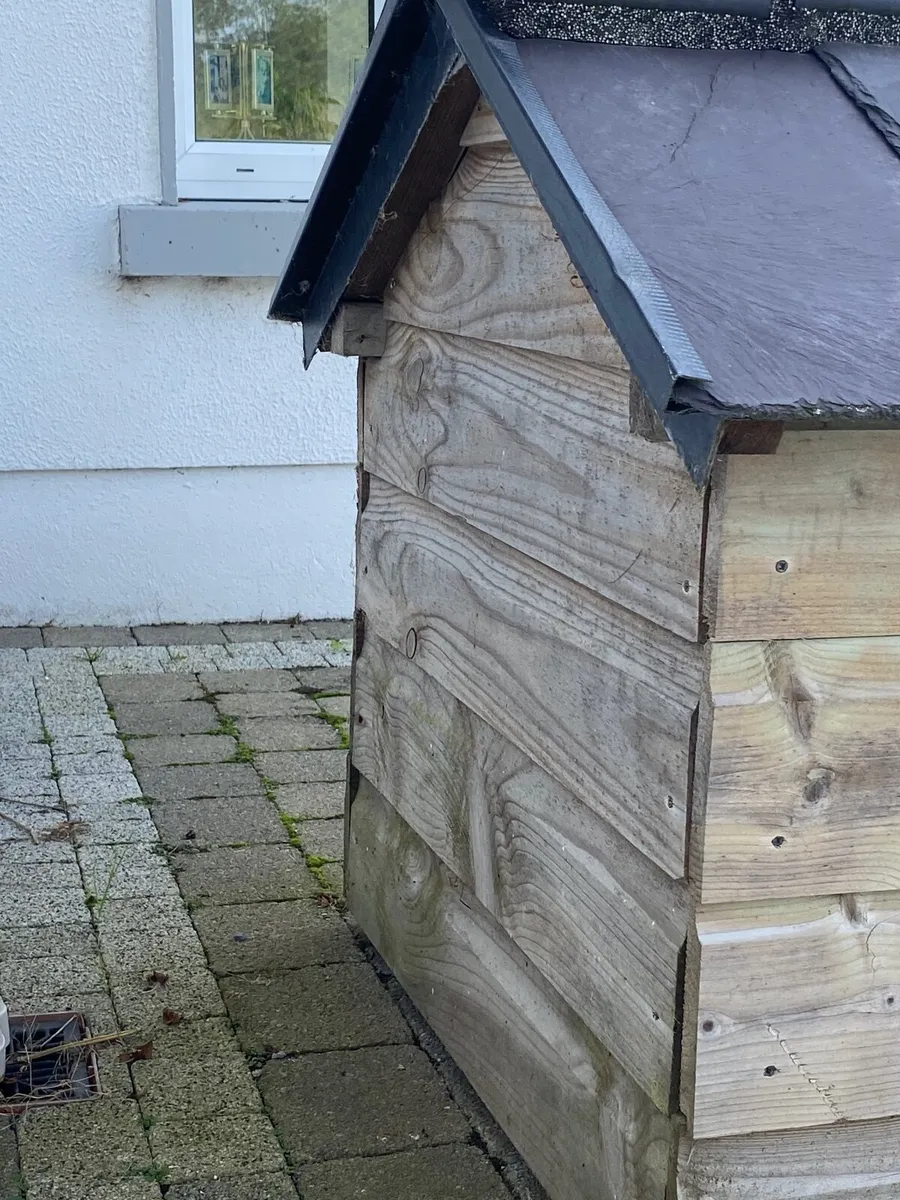 Dog House - Image 3