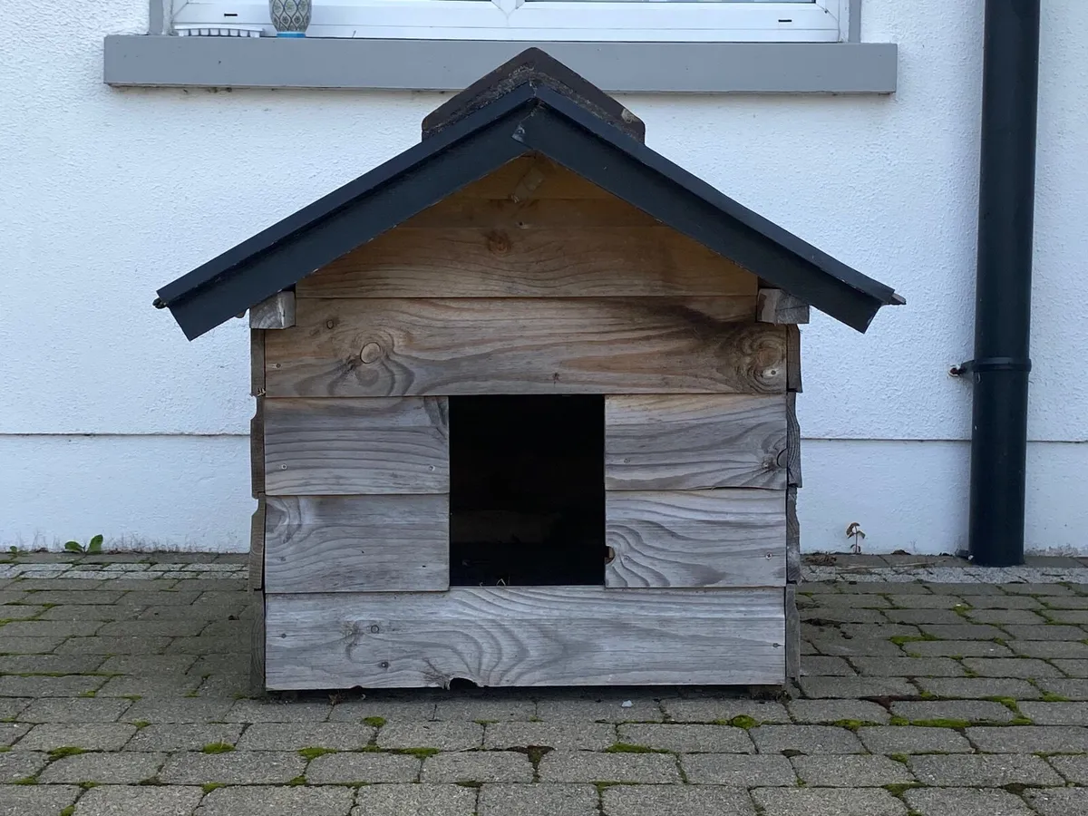 Dog House - Image 4