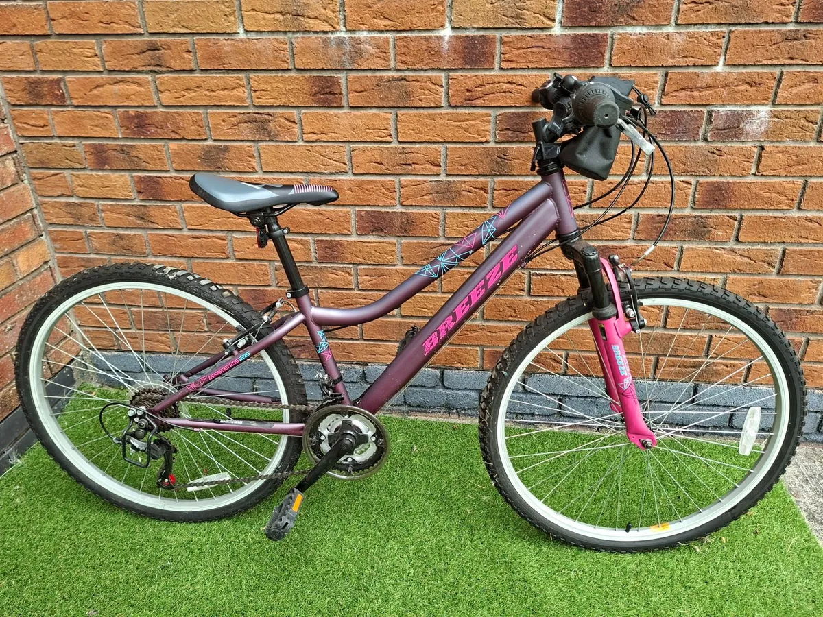 Girl & Boy  ( 10-12yrs) 26inch bikes, 12 speed - Image 3