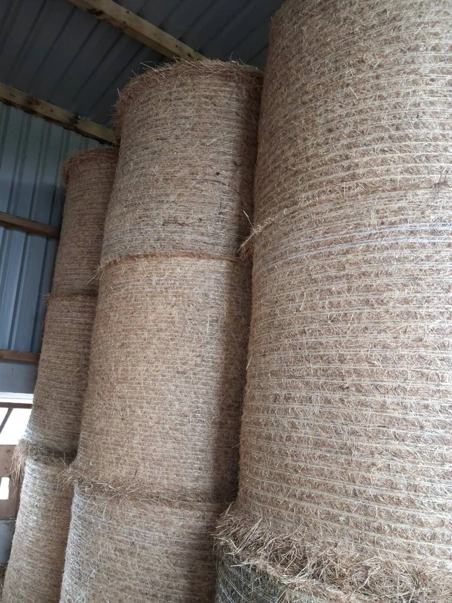 Hay - Image 1