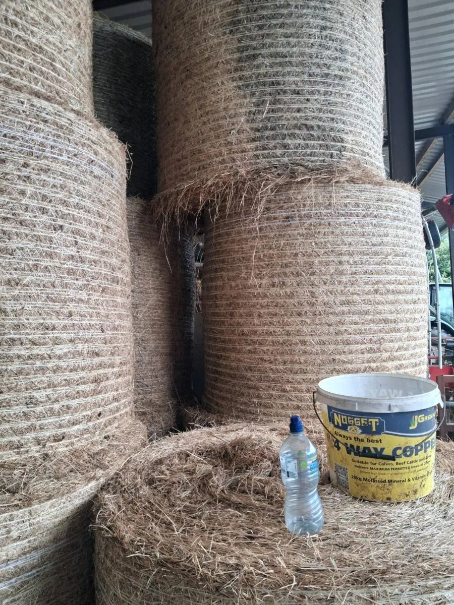 Hay - Image 2