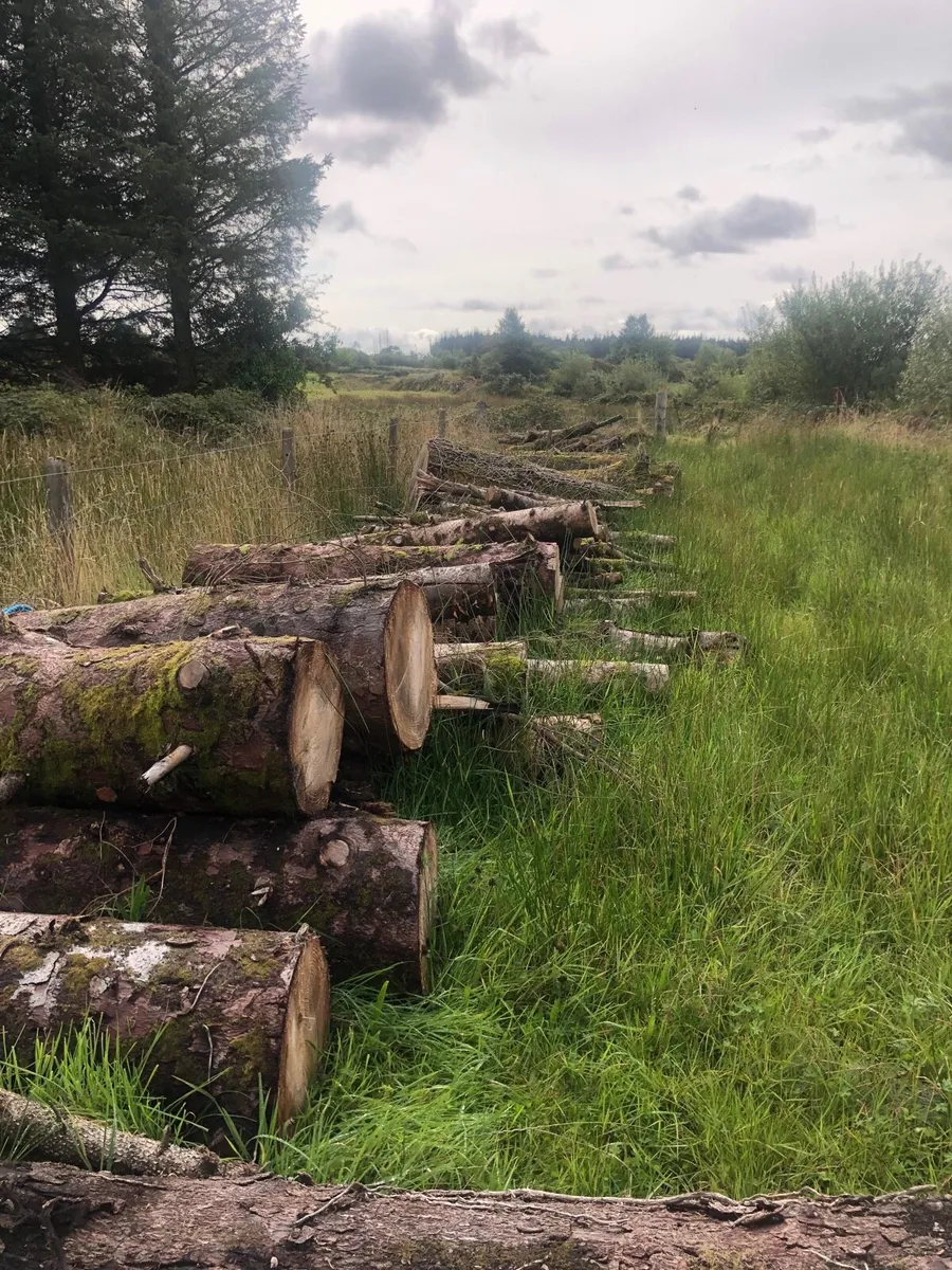 Firewood