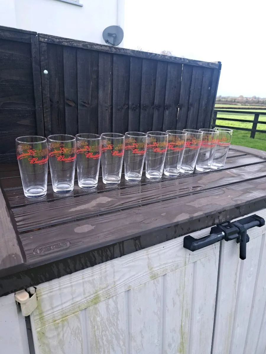 New budwiser  pint glasses - Image 1