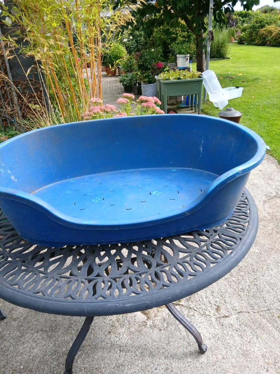 Basket - Image 2