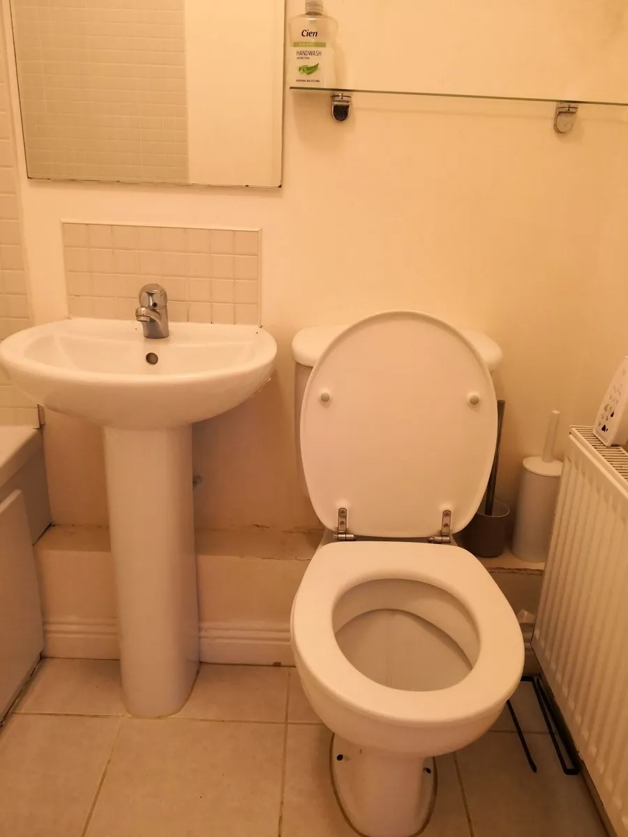 General Cleaning Services - Image 4