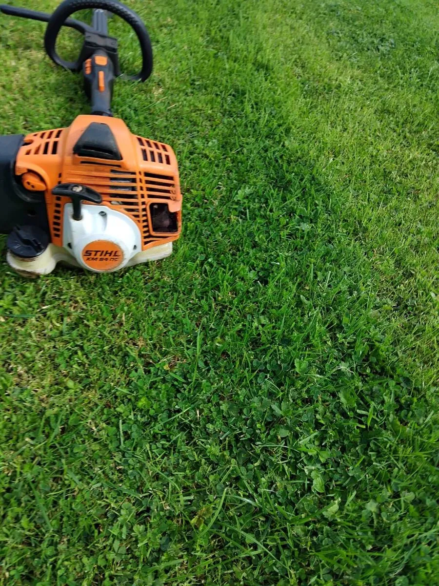 Long reach chainsaw - Image 2
