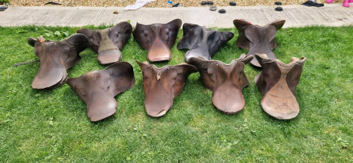 Saddles - Image 1