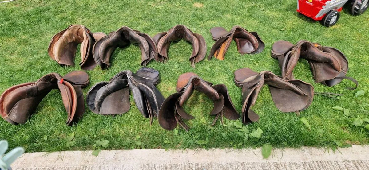 Saddles - Image 2