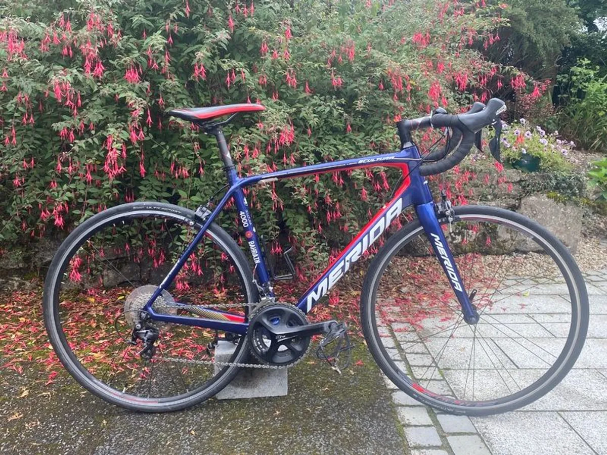 Merida Scultura 4000 Bahrain Team 2020-54cm/M-Carbon-shimano105 - Image 1