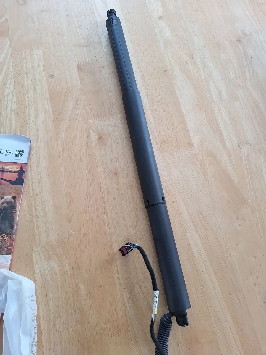 Tailgate struts - Image 1