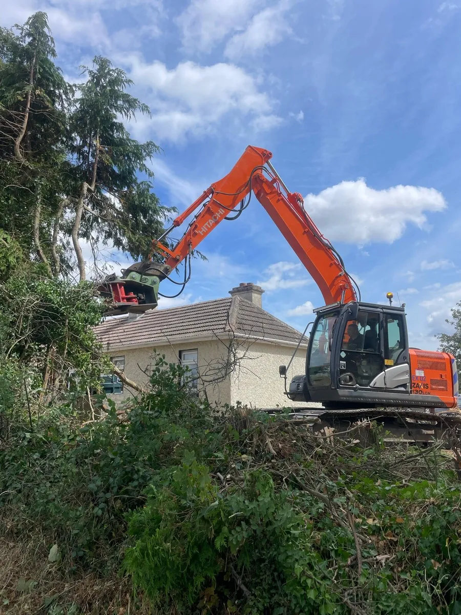 Tree shearing & tree surgery - Image 3