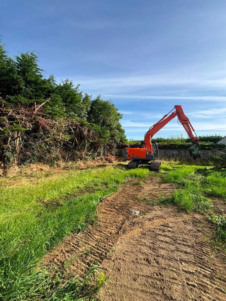 Tree shearing & tree surgery - Image 1