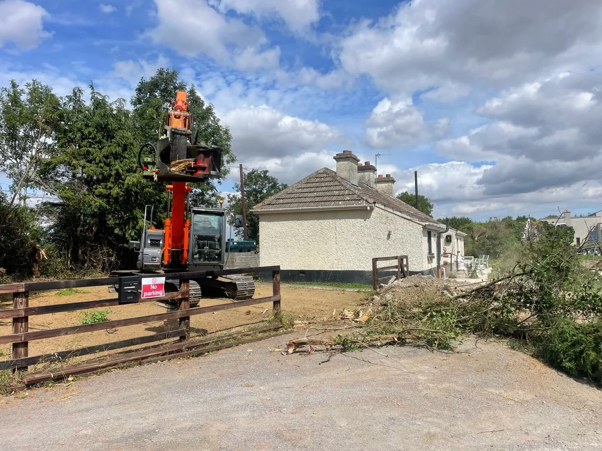 Tree shearing & tree surgery - Image 4