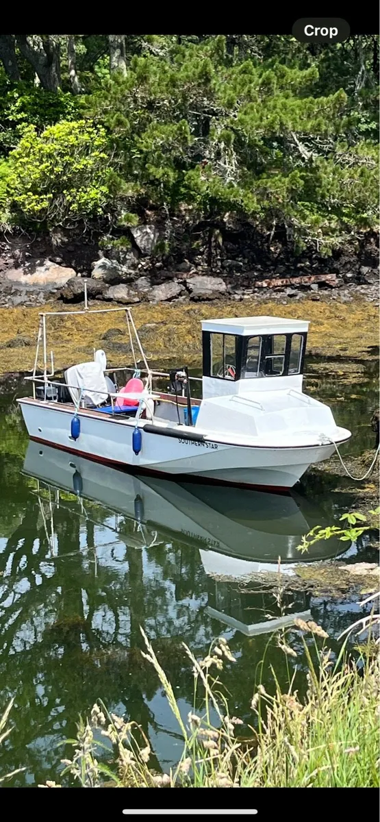 Boston whaler - Image 1