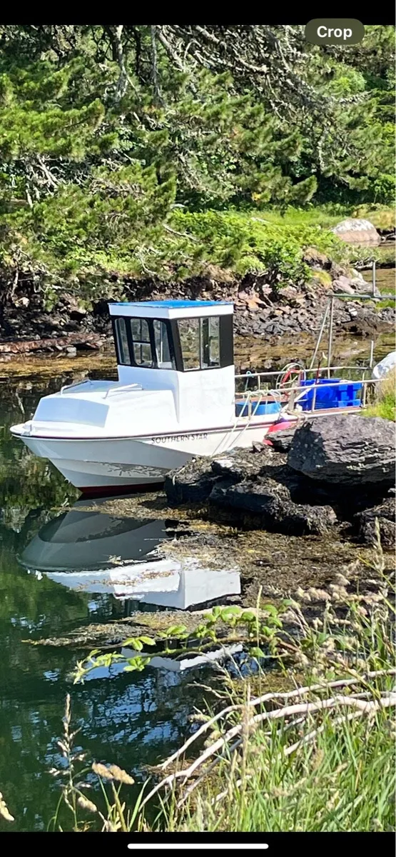 Boston whaler - Image 2