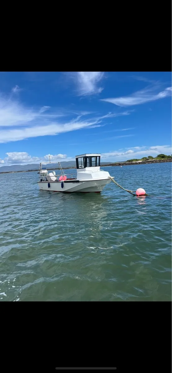 Boston whaler - Image 3