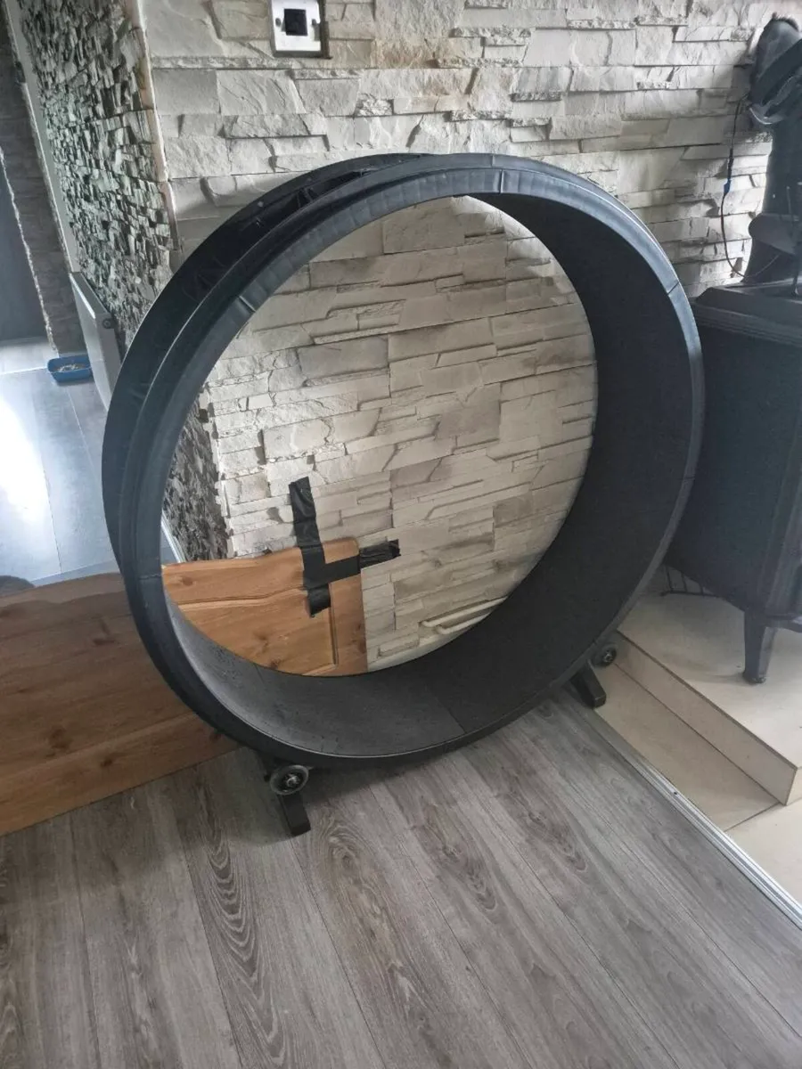 Cat exercise wheels - Image 1