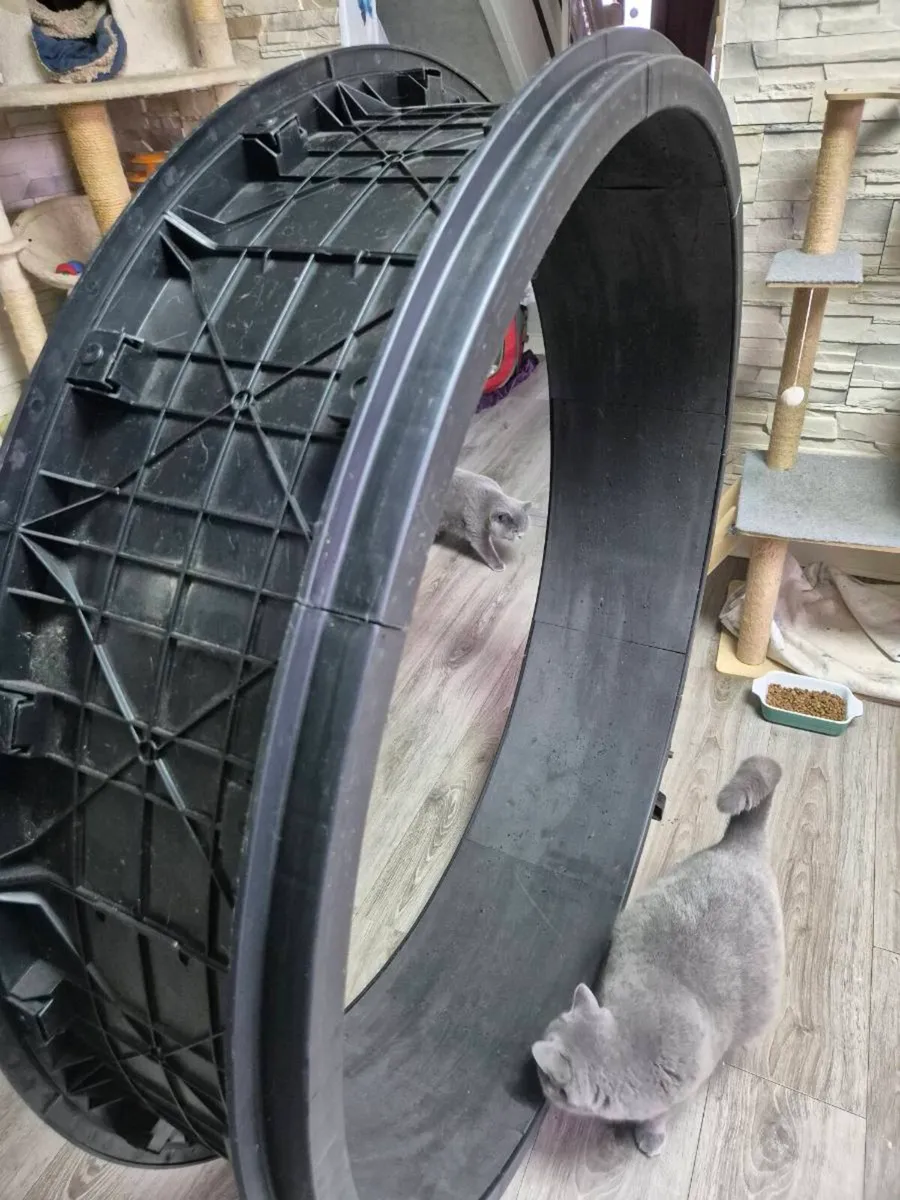 Cat exercise wheels - Image 4