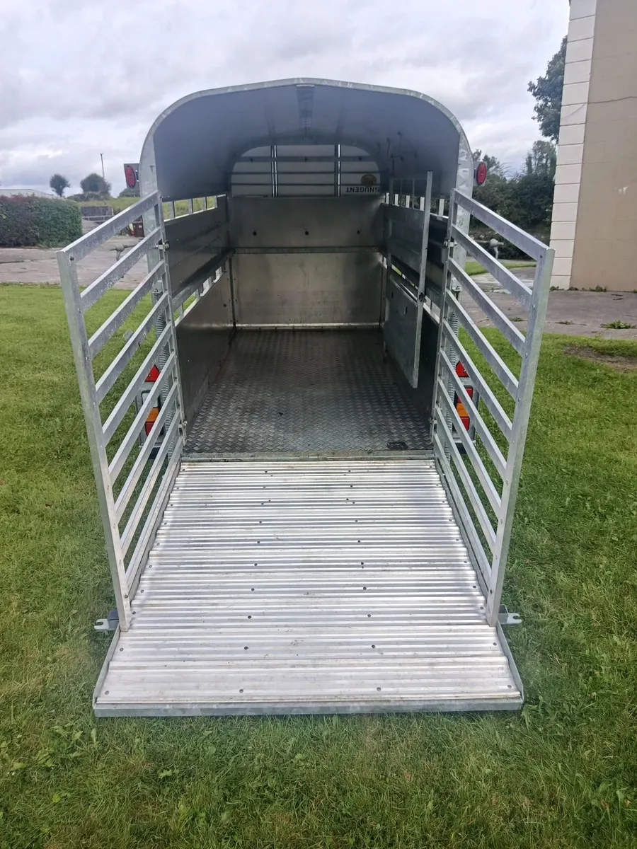 Cattle Trailer - Image 4