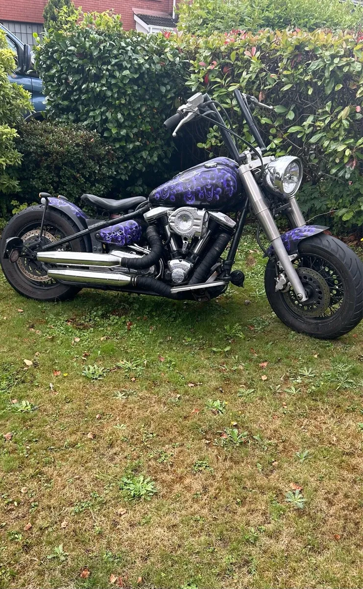 Xv1600