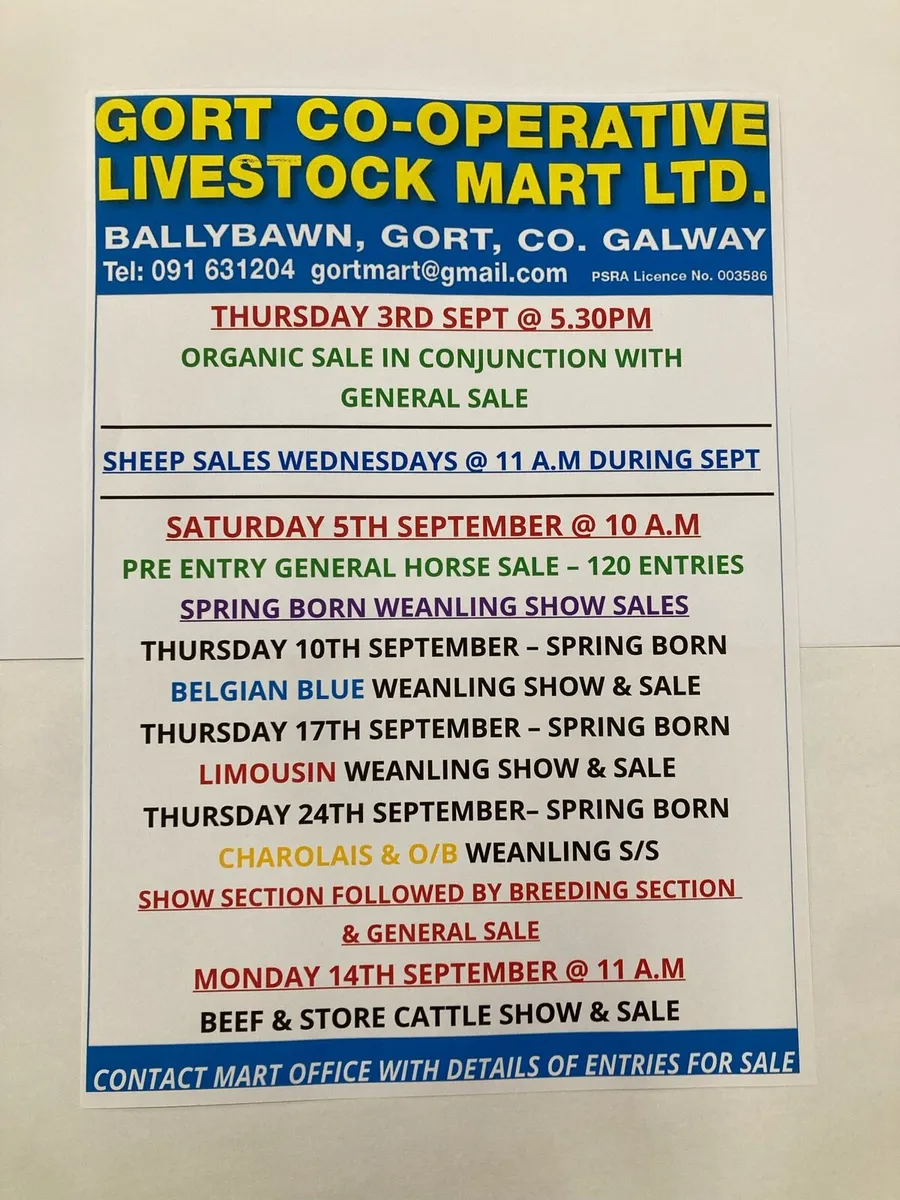 Gort Mart: Spring weanling show sales - Image 1