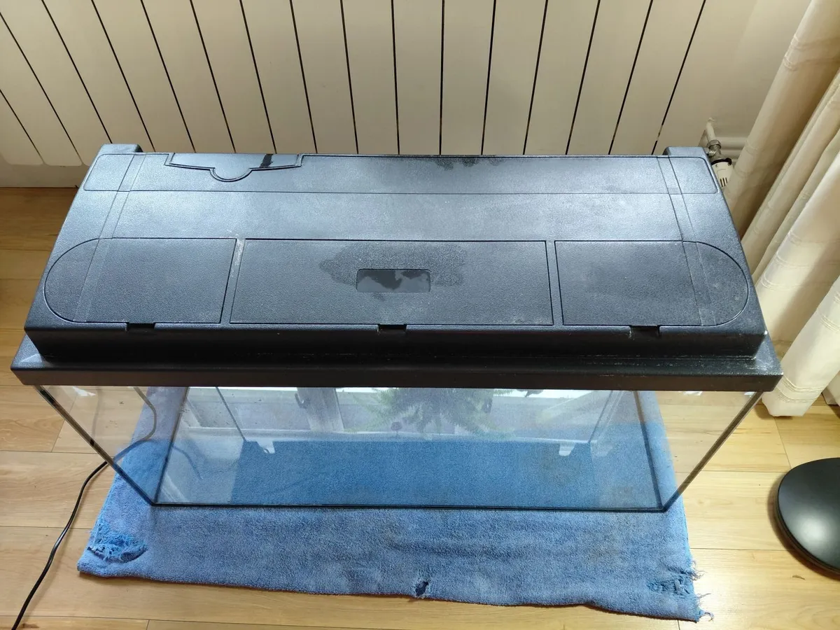 Fish Tank n Stuff - Image 4